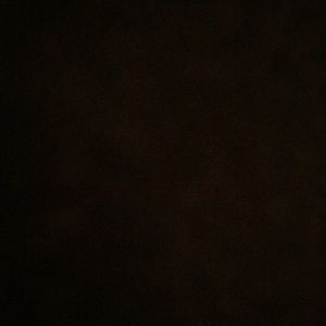 Meet your Posher, Jazmyn